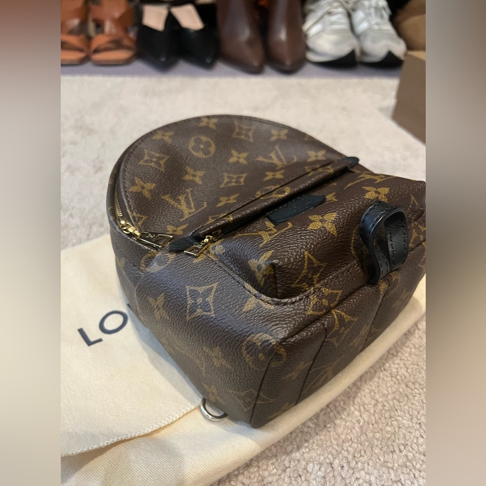 Preowned Great condition Louis Vuitton Palm Springs Mini Backpack